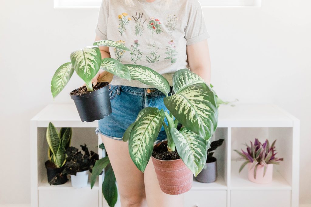 11 Unique DIY Garden Projects You Can Do This Weekend-Easy and Budget-Friendly Ideas