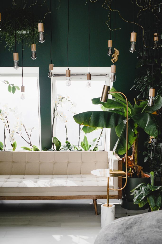 Everything You Need to Know About Gardening in Small Spaces