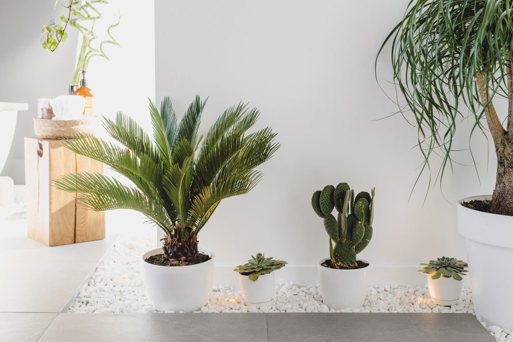 5 Common Watering Mistakes And How To Avoid Them