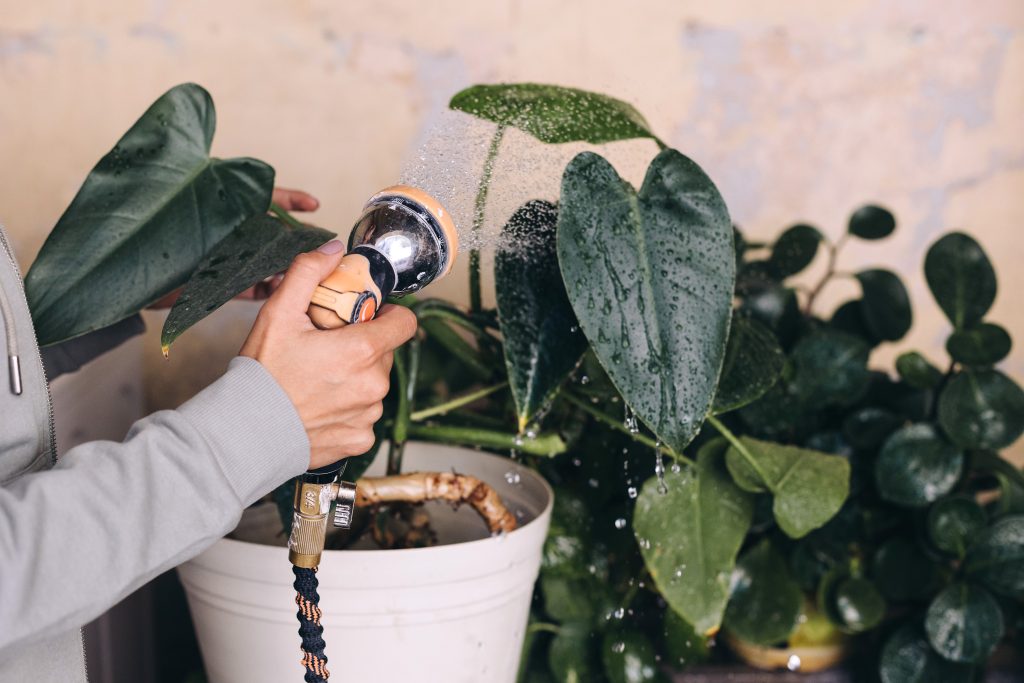 8 Ways You Can Save Water While Keeping Your Lawn Green and Gorgeous