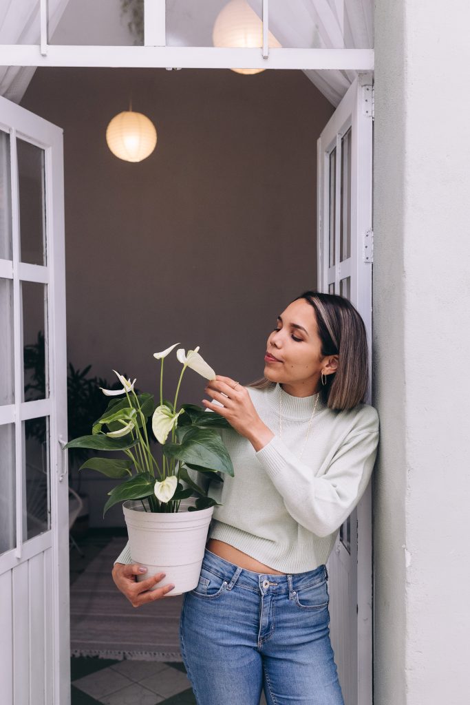 A Guide to Surviving Your First Gardening Winter
