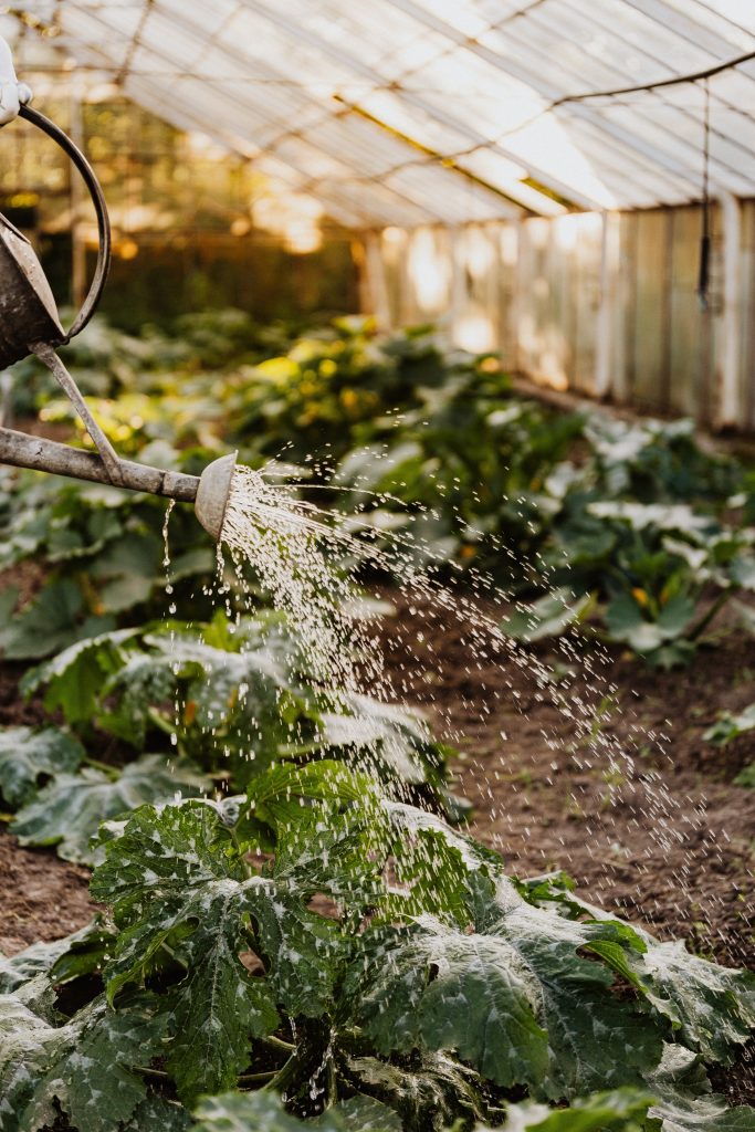 How To Vacation Proof Your Garden To Keep It Thriving While You’re Away!