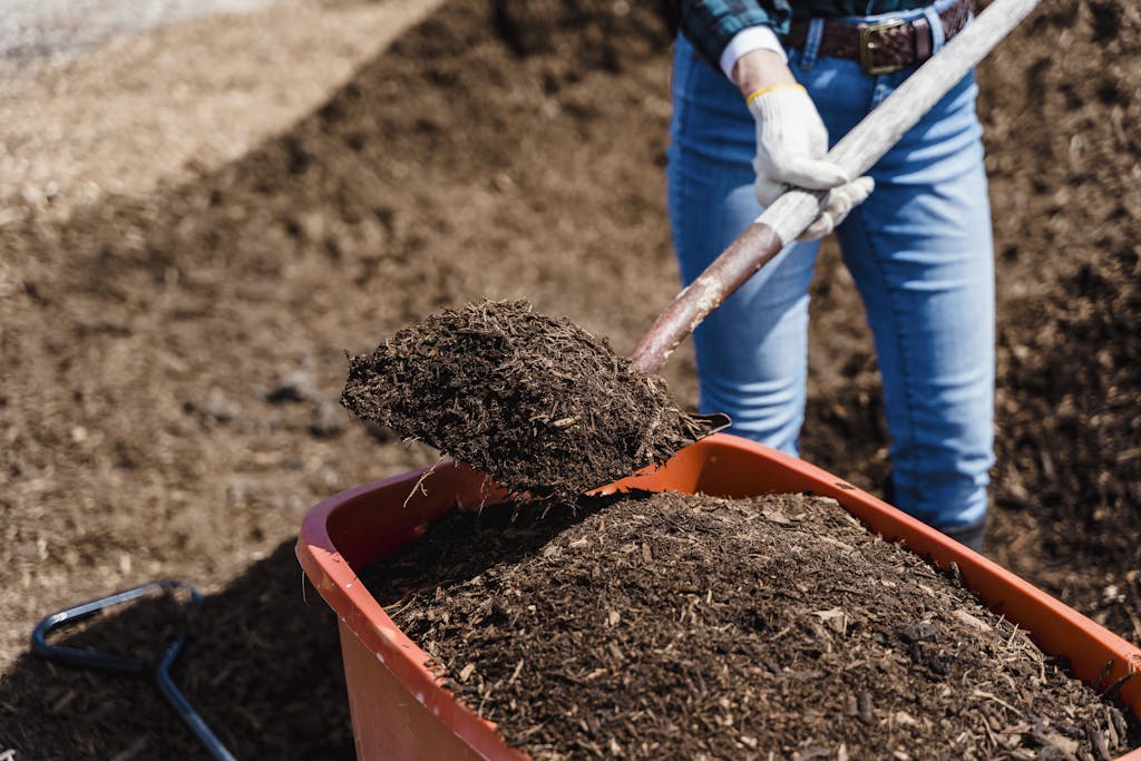 Create Your First Compost Bin: No More Waste!