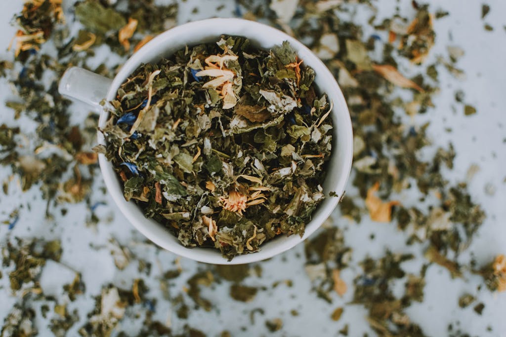 7 Herbs That Practically Grow Themselves (and How to Use Them in Your Kitchen)