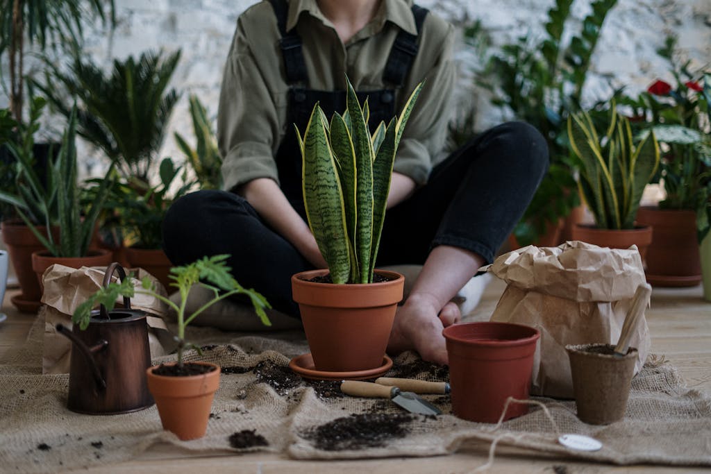 10 Gardening Mistakes to Avoid for a Thriving Garden