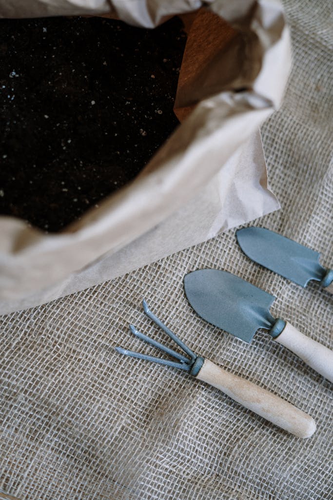 Every Gardener’s Best Friend: The Ultimate Pruning Shears